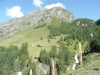 P1040560