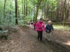 Unterwegs auf der Drei-Burgen-Tour